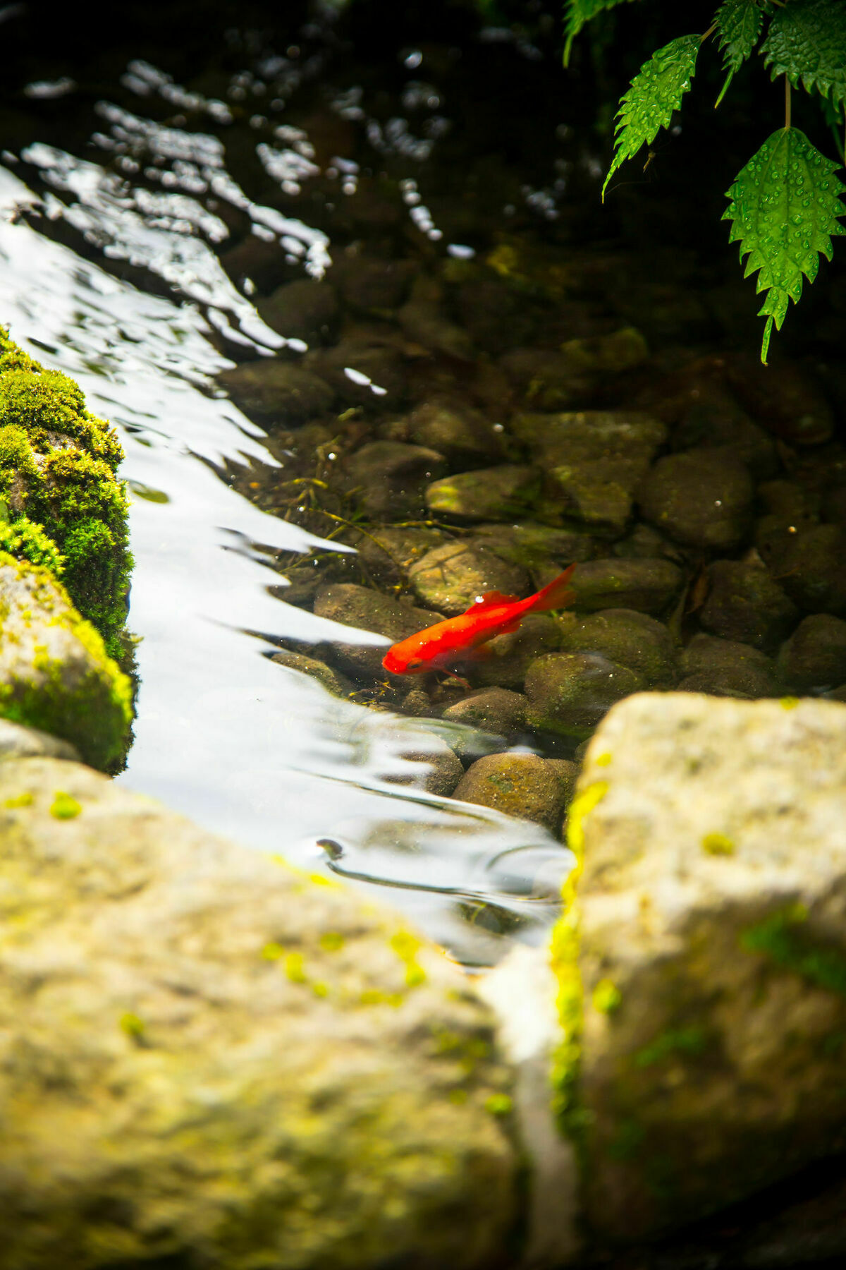 료칸 여명 旅館 黎明 Ryokan Reimei Yufu Ngoại thất bức ảnh